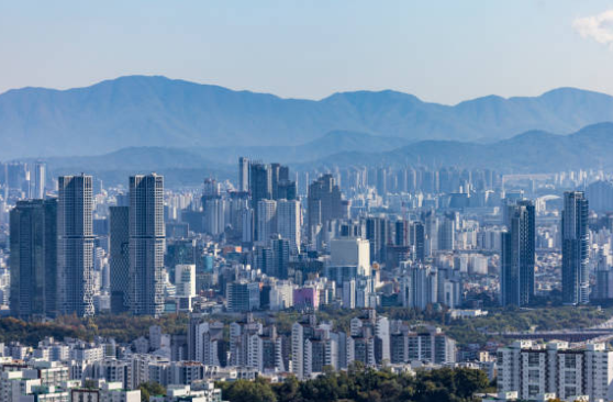 아파트 공시가격 조회