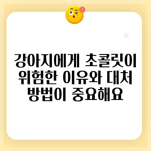 강아지에게 초콜릿이 위험한 이유와 대처 방법이 중요해요