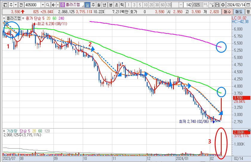 플라즈맵 일봉 차트 분석 (2024년 2월 14일)