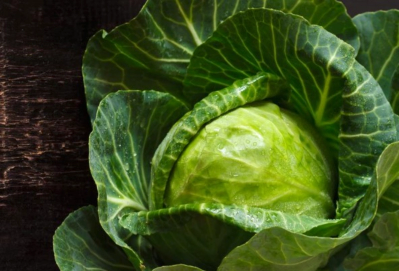 양배추 냄비로 삶는 법