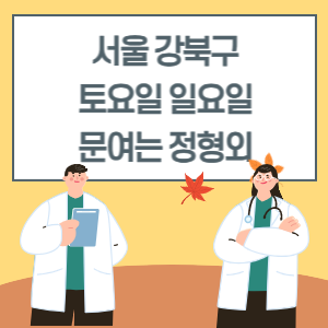 서울 강북구 토요일 일요일 정형외과 진료 병원 리스트