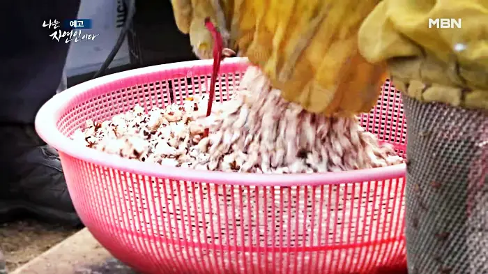 나는-자연인이다-이승윤