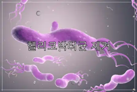 매스틱 효능