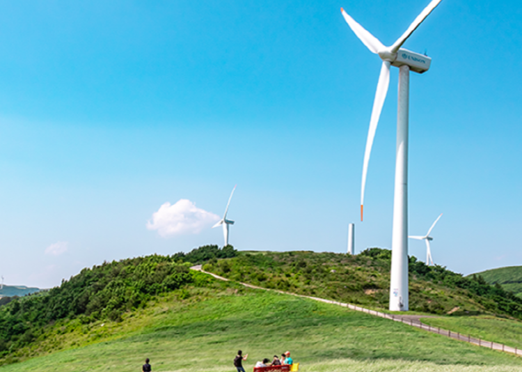 대관령 하늘목장