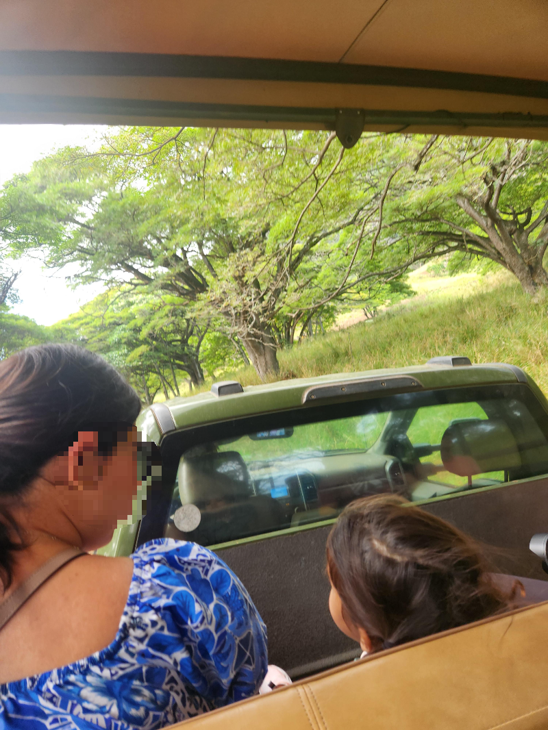 하와이 쿠알로아 랜치 익스피리언스 패키지 정글투어