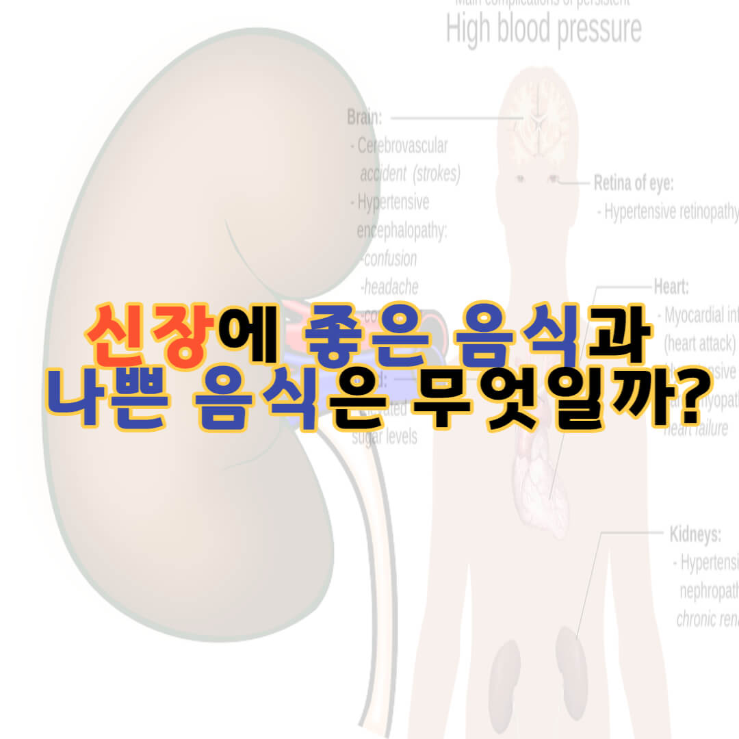 신장에좋은음식
신장에나쁜음식