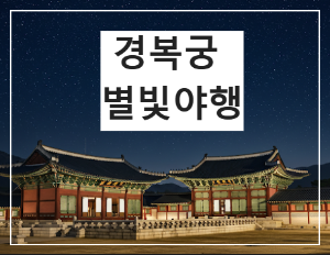 경복궁 별빛야행