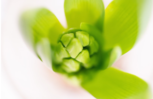 입춘 인사말 이미지 뜻 2025년 입춘시