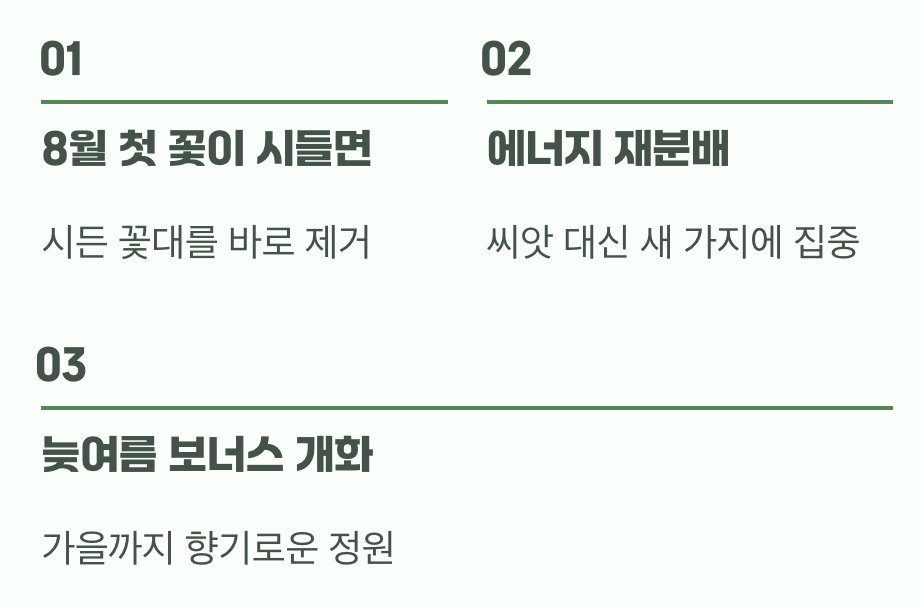 꽃이 진 후, 한 번 더!