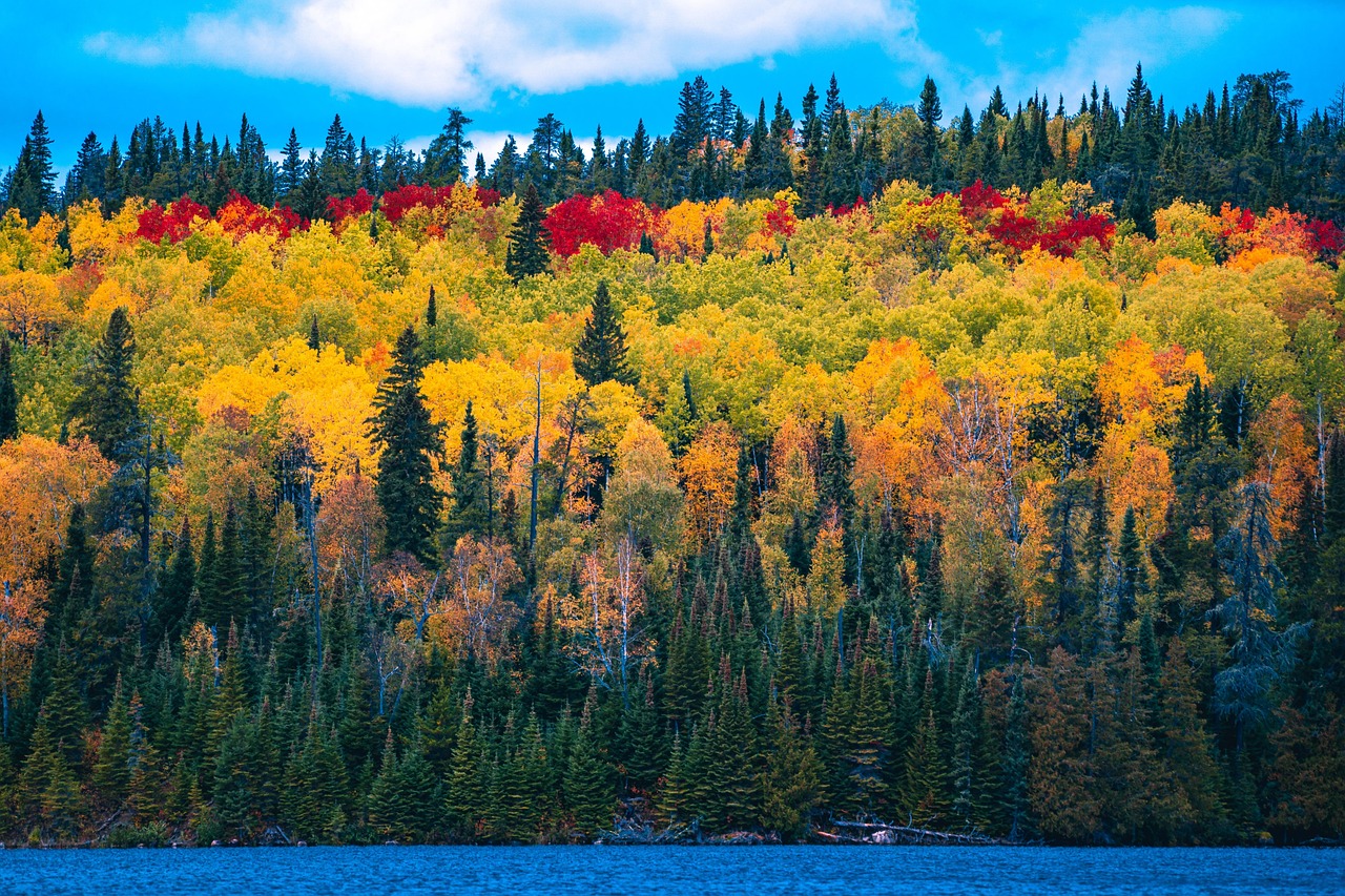 경기형 가족돌봄수당 혜택