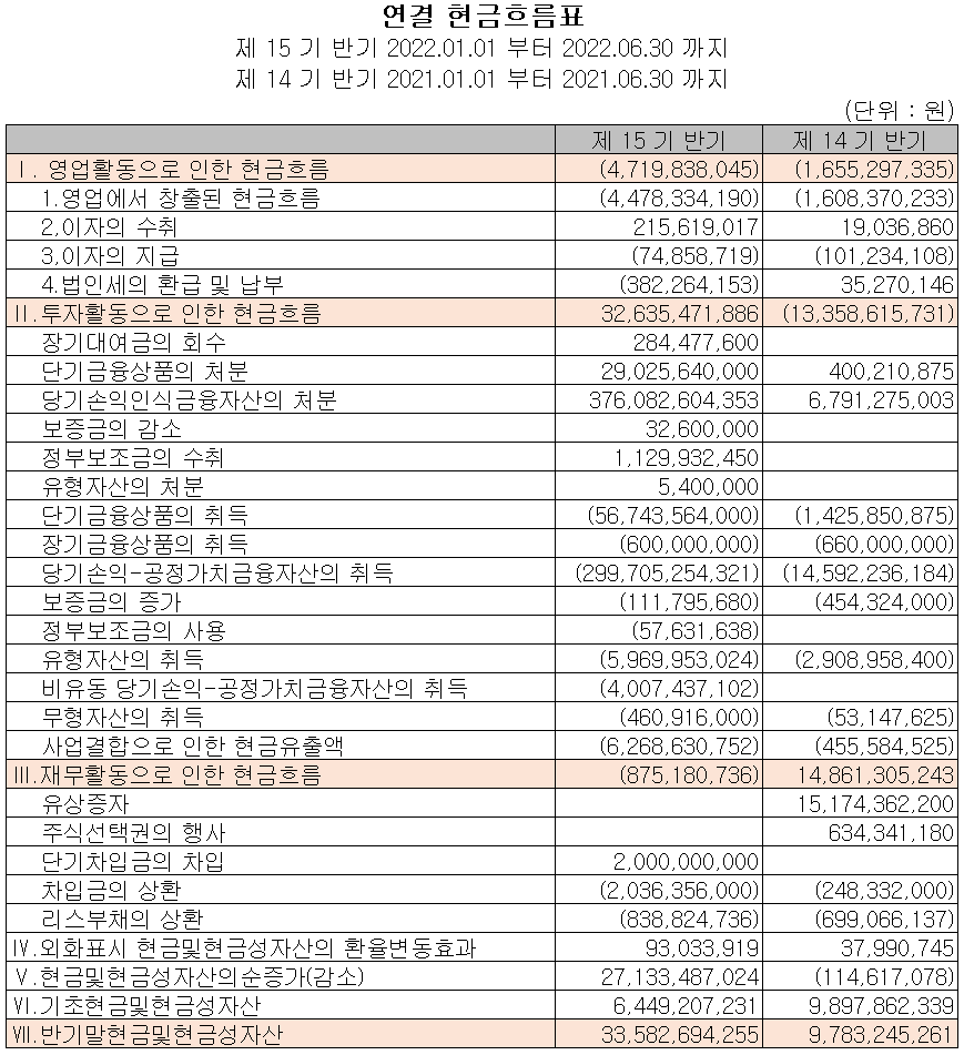 자이언트스텝 - 현금흐름표