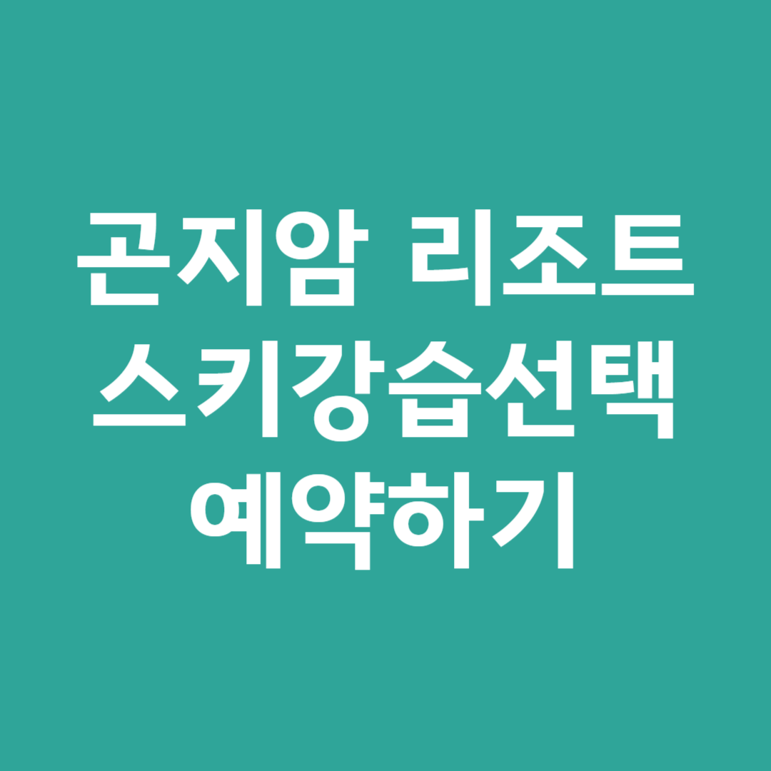 곤지암 리조트 스키강습 종류 예약하기