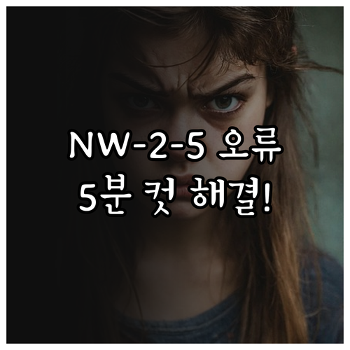 넷플릭스 NW-2-5 네트워크 연결 ..
