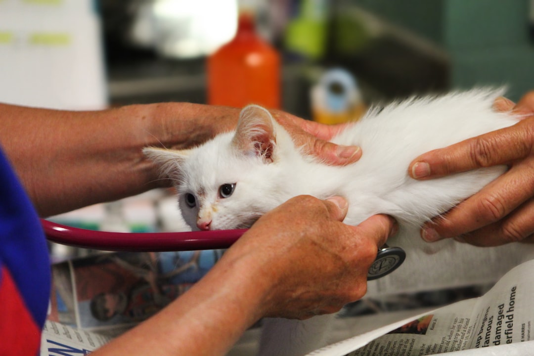 Veterinary