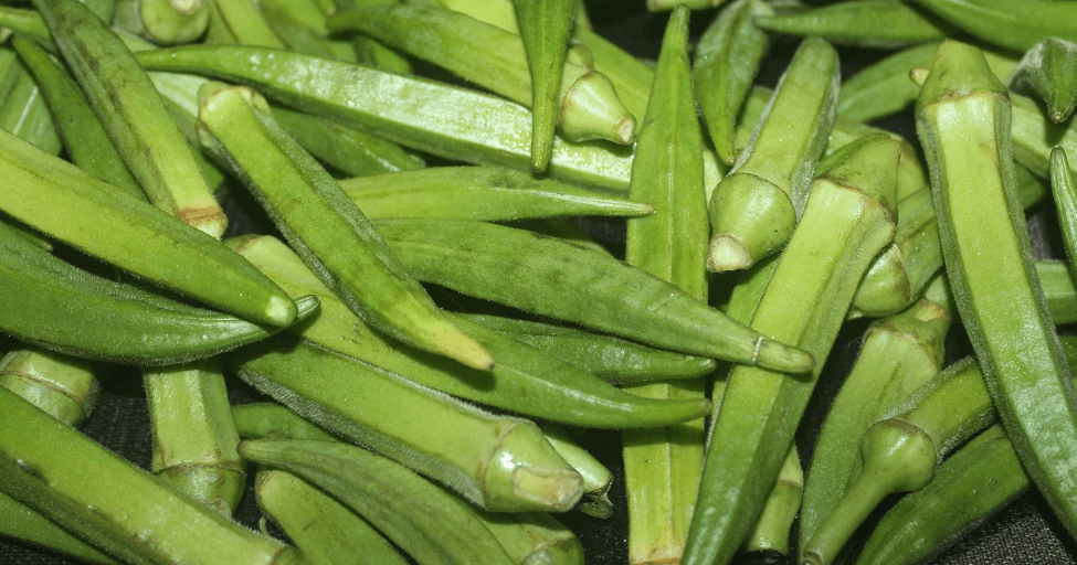 오크라 사진 - 4