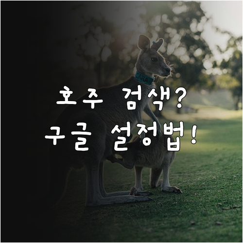 호주 현지 정보 검색을 위한 구글 지..