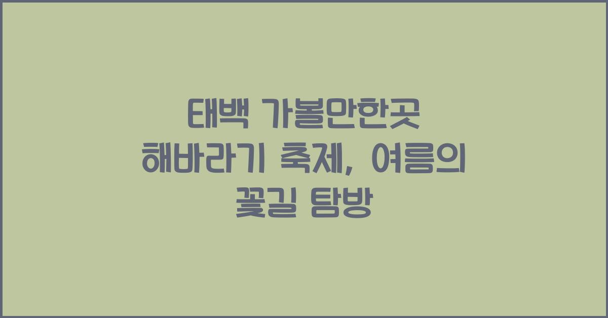 태백 가볼만한곳 해바라기 축제