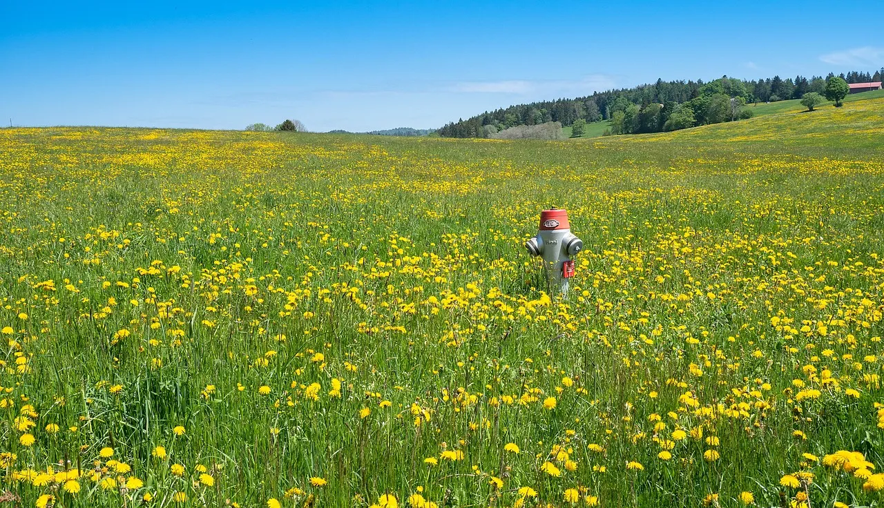 이혼변호사비용