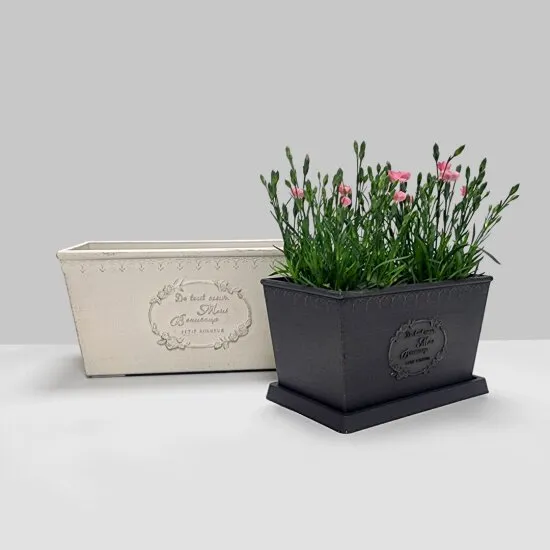 북유럽풍 인테리어 식물배치 톤맞추기 화분색감 관리 감성업_4