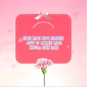 빨래 냄새 제거 관리법! 세탁 후 꿉꿉한 냄새 없애는 꿀팁 모음