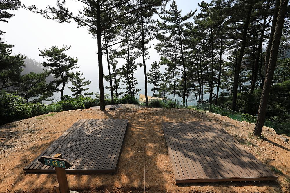 충청남도 태안군 태안둘레길캠핑장 소개