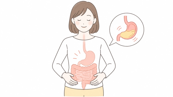 소화잘되는 음식