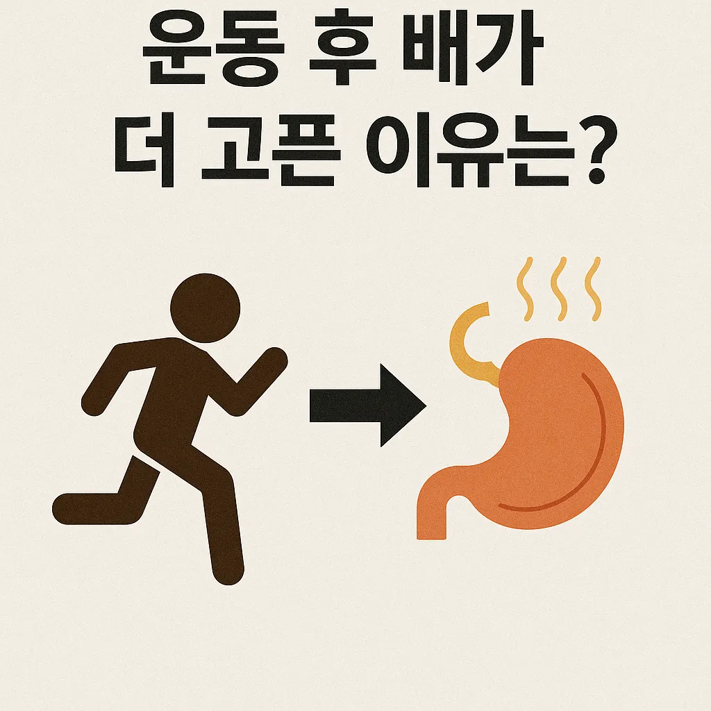 why_feel_hungrier_after_exercise