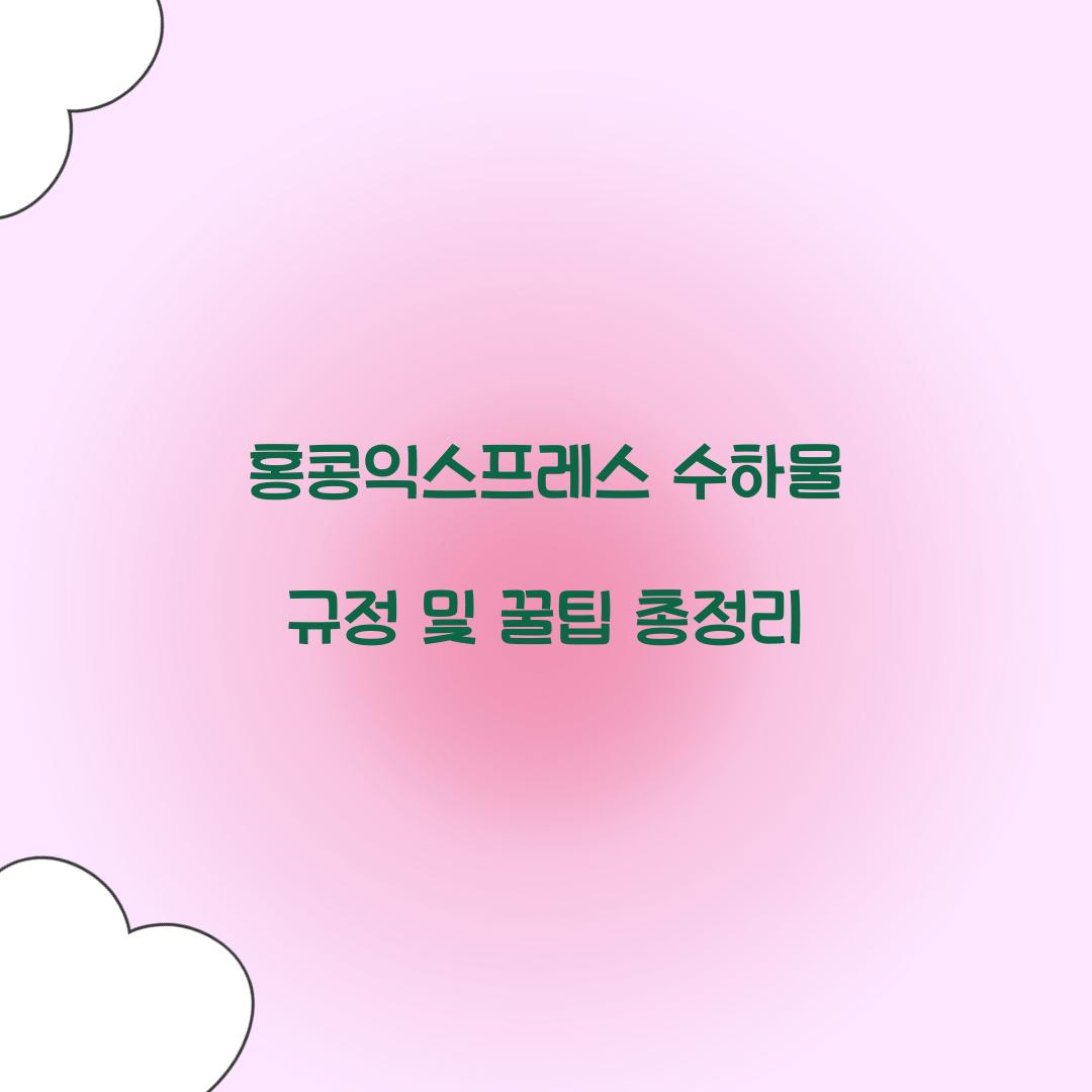 홍콩익스프레스 수하물