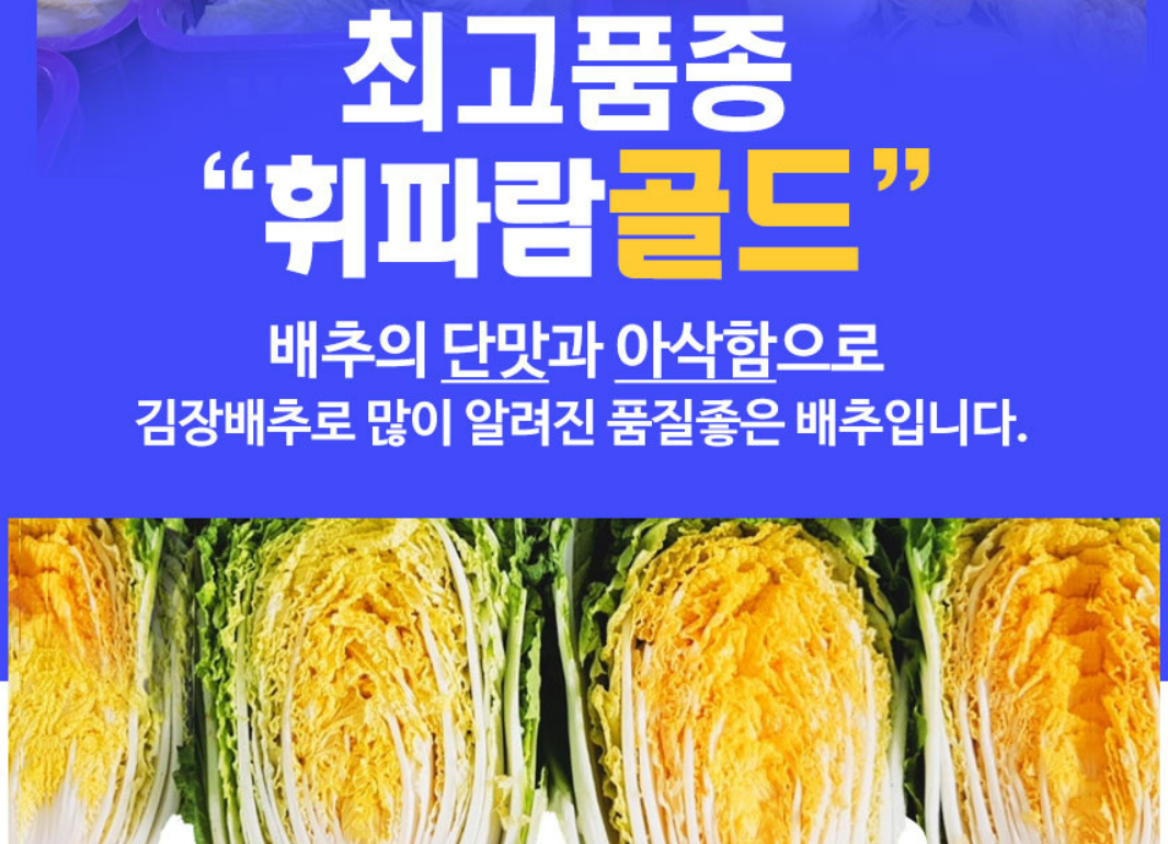 휘파람 골드 고랭지 절임 배추