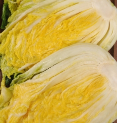 2024 농협 하나로 마트 절임배추 예약