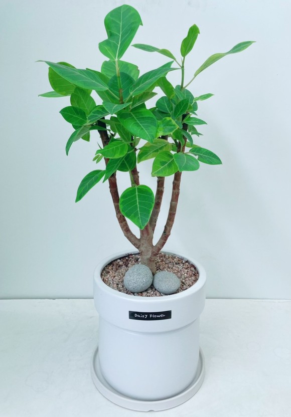 개업 축하 문구