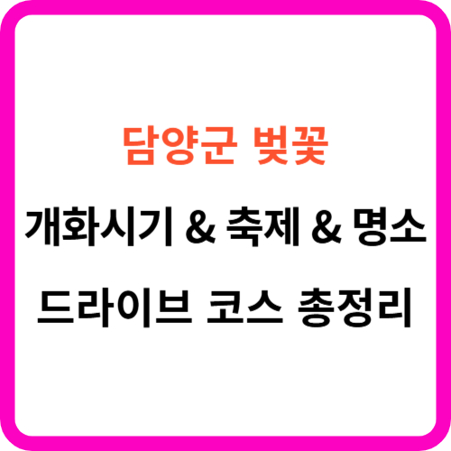 담양 벚꽃 개화시기 명소 드라이브 코스 를 한 눈에!