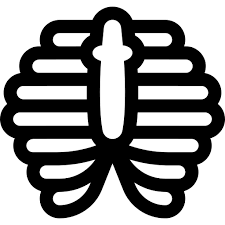 왼쪽 갈비뼈 아래 통증