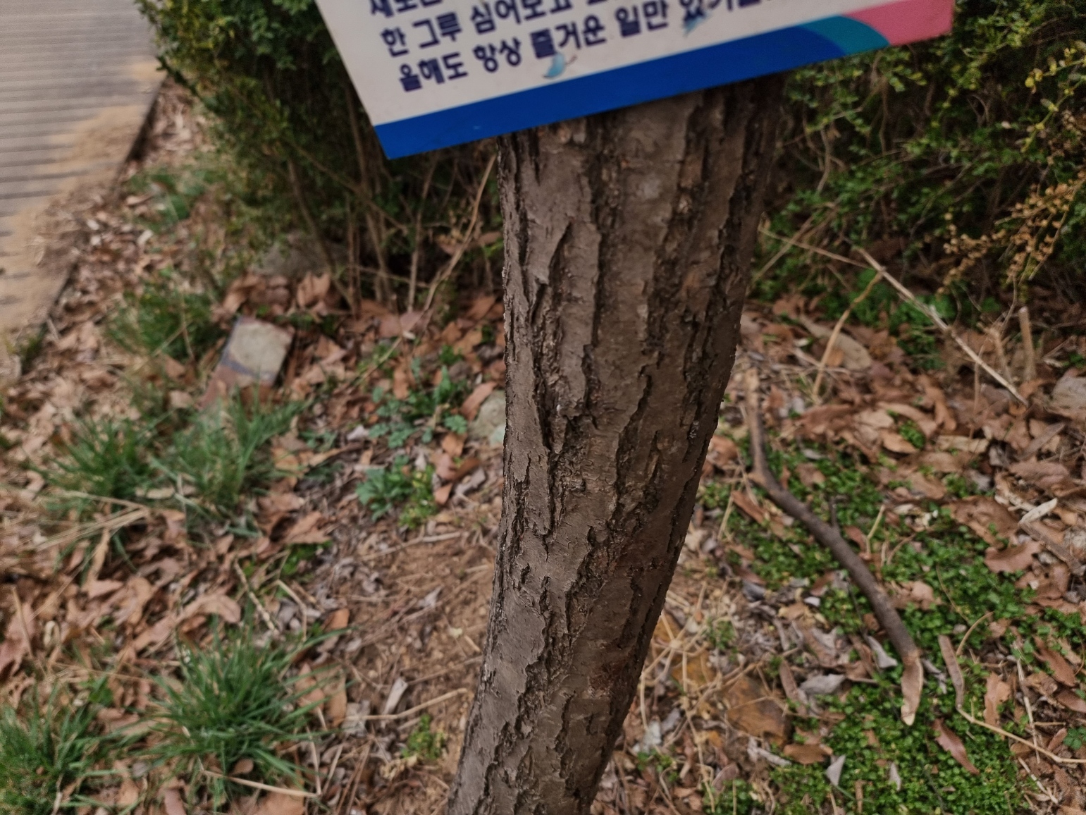 식물 이름 찾기 어플