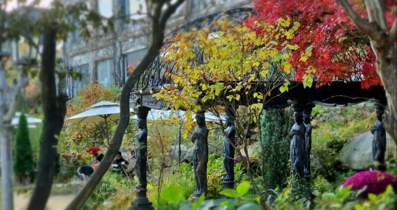 카페-대너리스-이국적인-유럽풍-정원