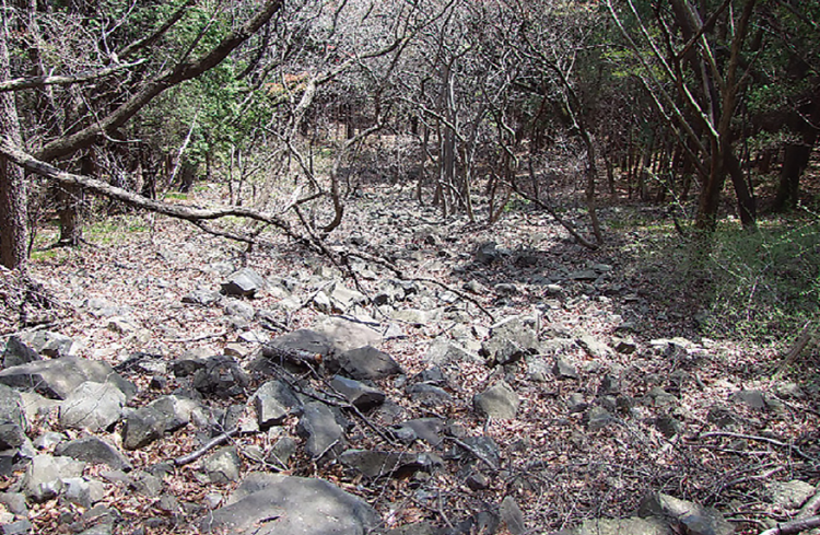 백양산 등산코스