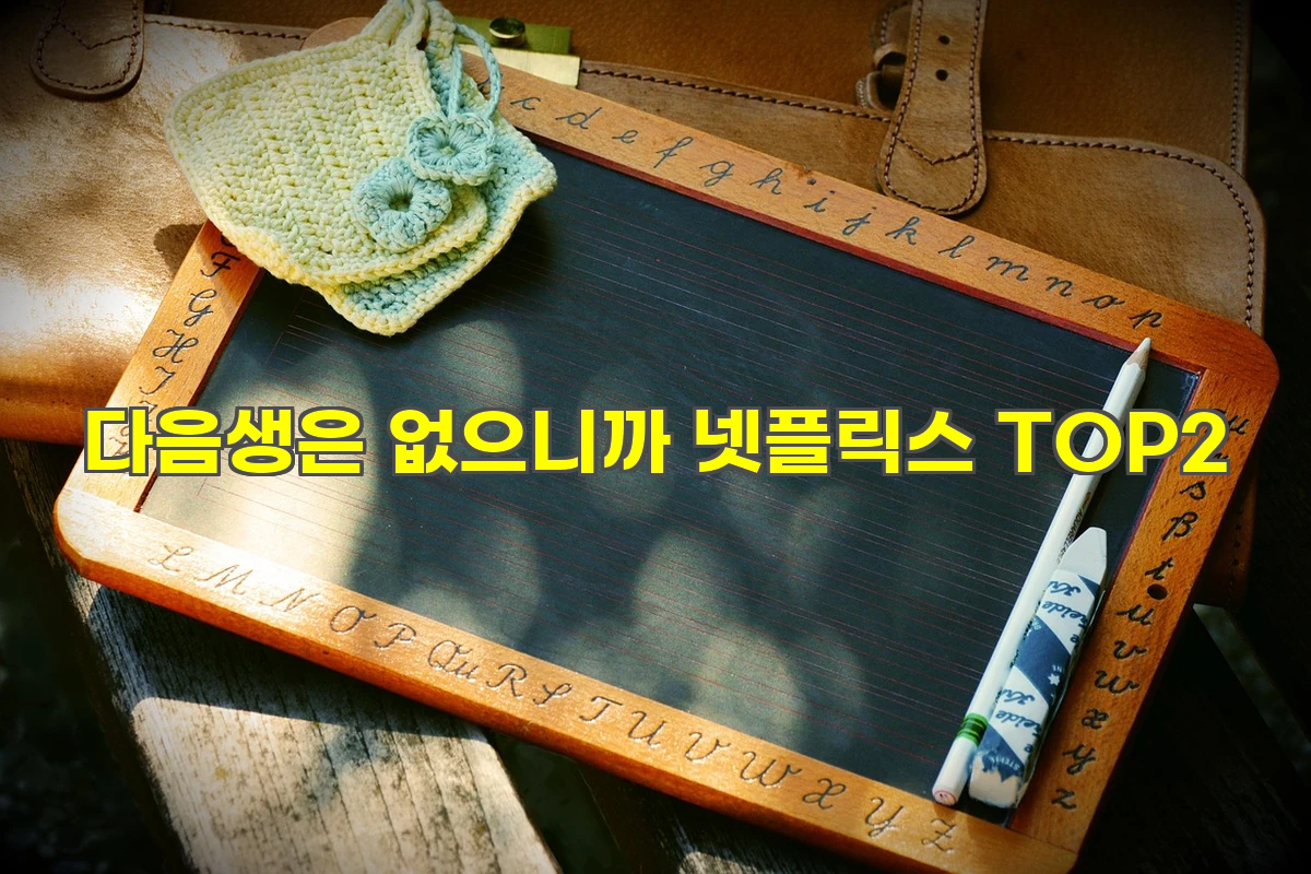 다음생은 없으니까 넷플릭스 TOP2