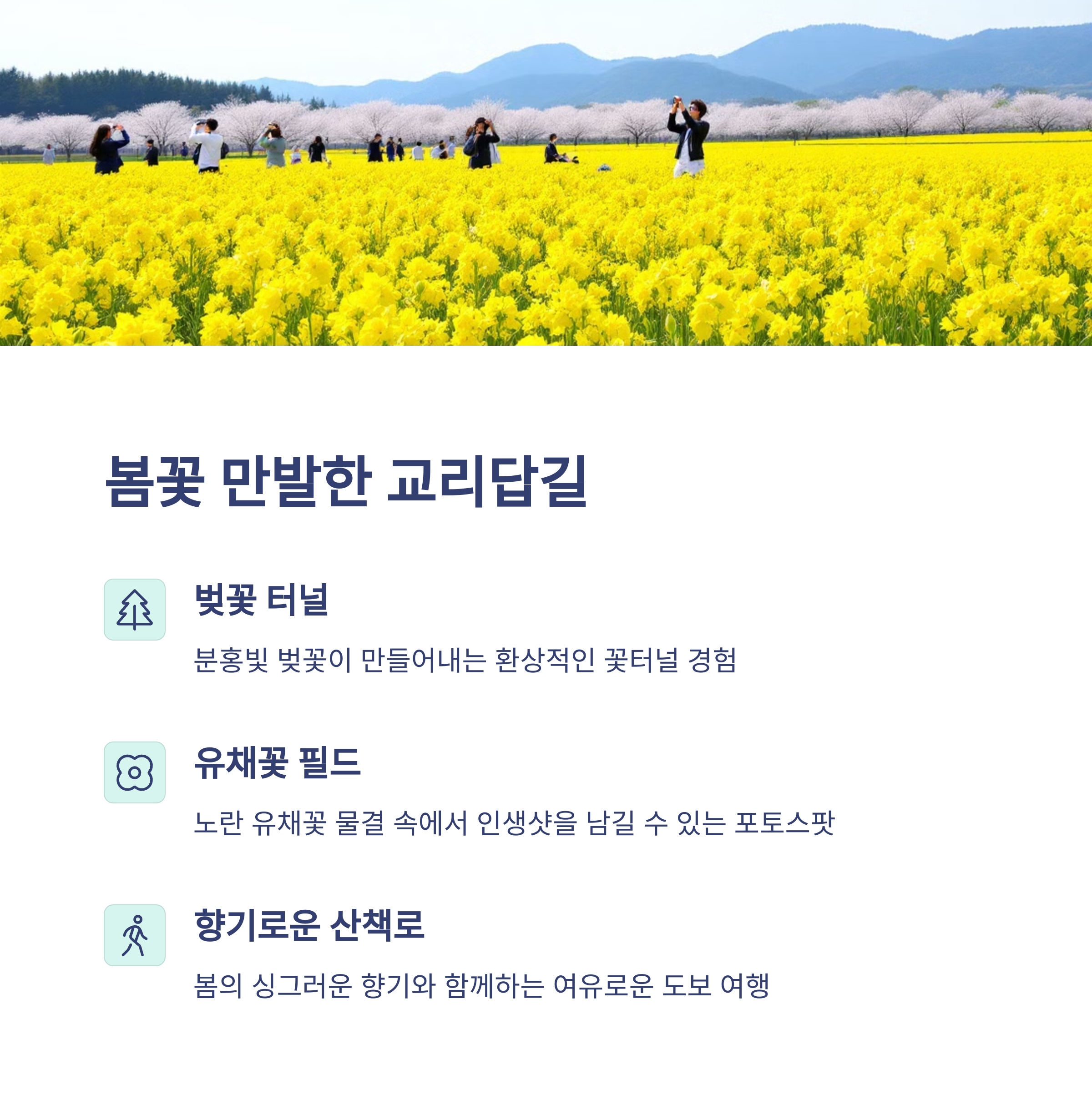 강릉 교리답길