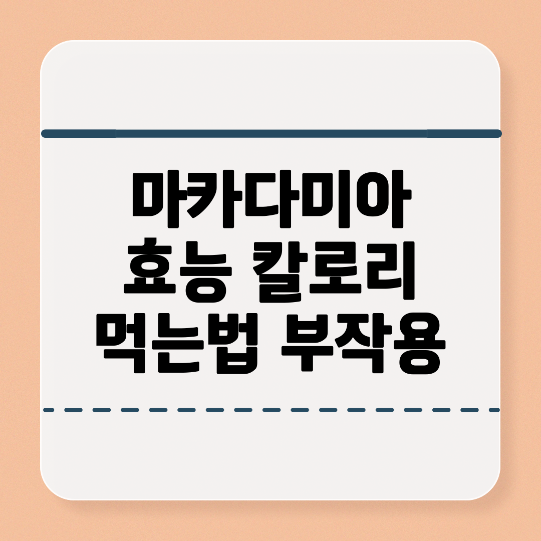 마카다미아 효능과 칼로리 먹는법 부작용