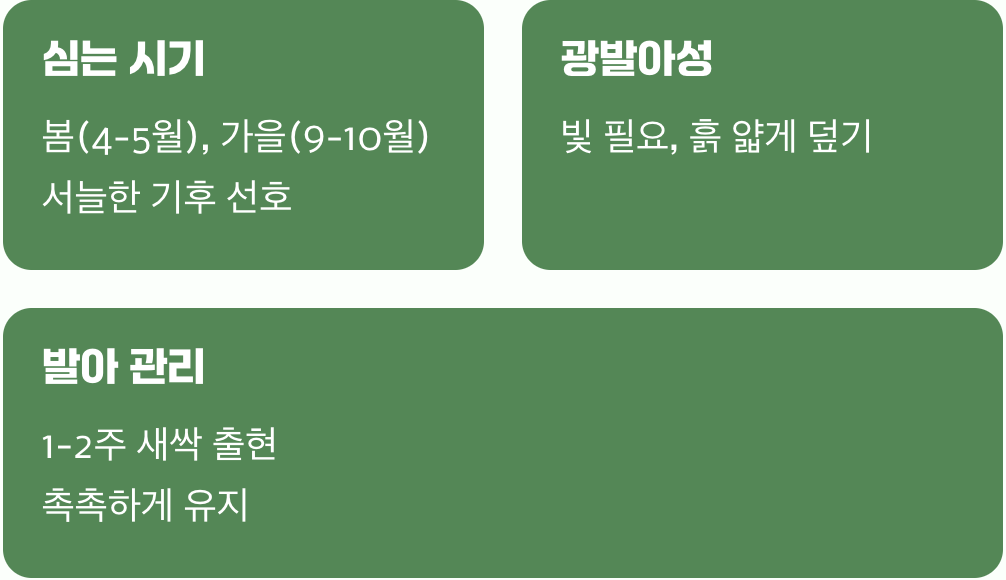 씨앗과의 첫 만남, 심는 법의 비밀