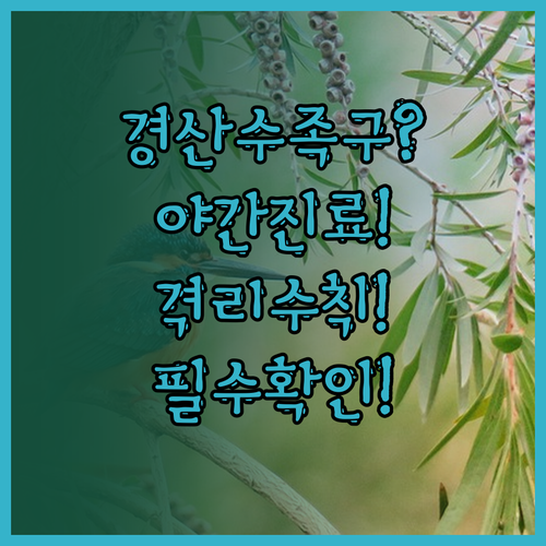 경산시 수족구 병원 야간 진료와 격리..