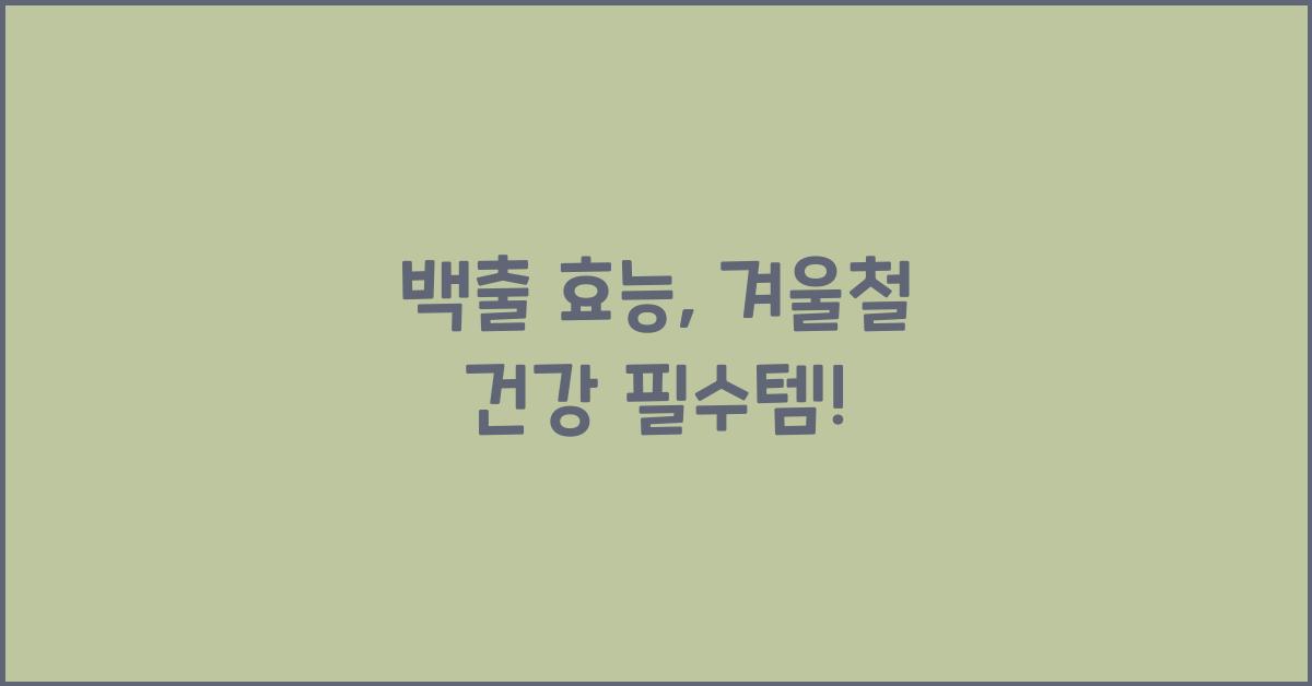 백출 효능