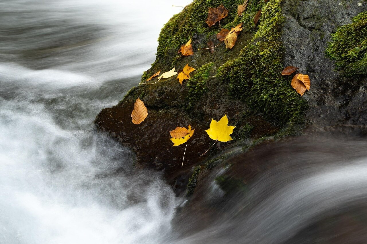 전국 가을 단풍 명소 총정리
