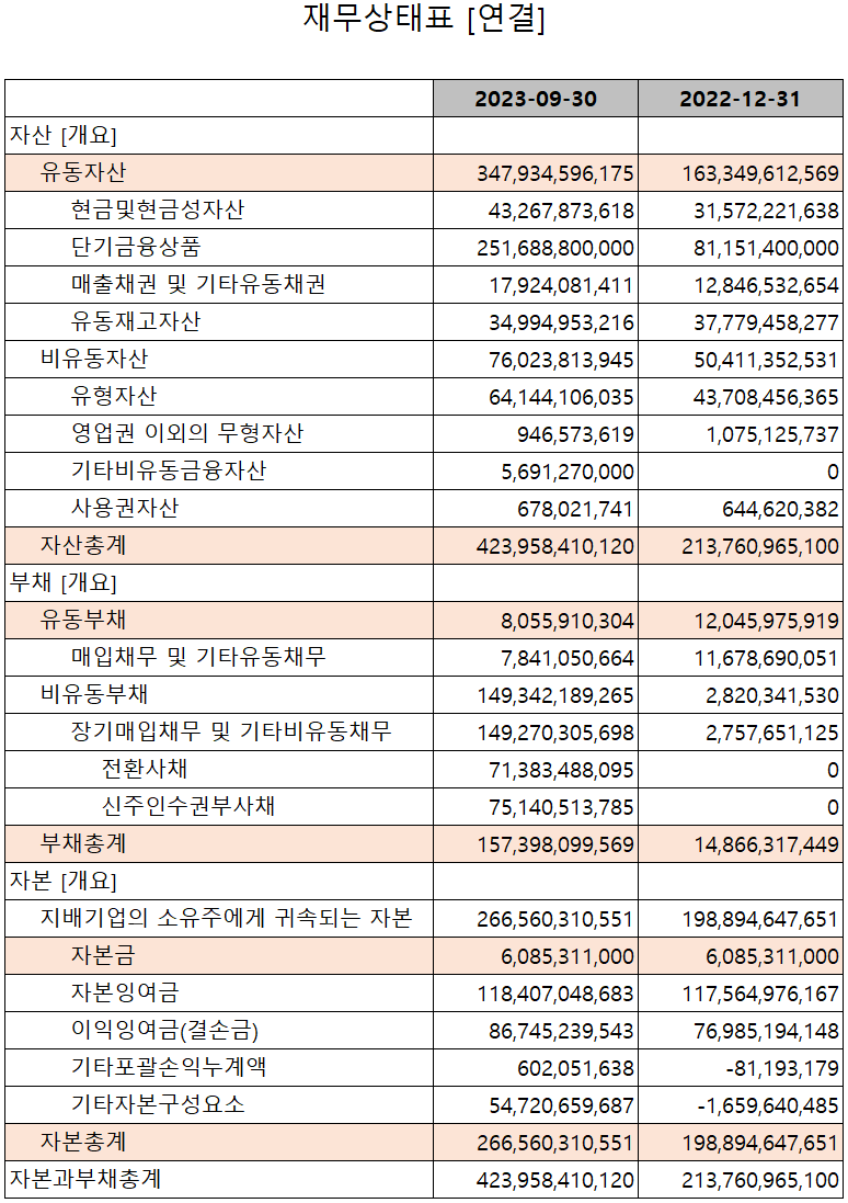 나노신소재 - 재무상태표