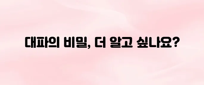 대파 효능 7가지 – 면역력·혈액순환에 좋은 이유는?