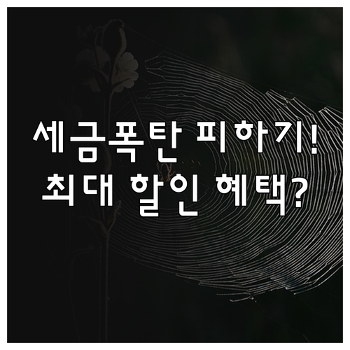 1월 캠핑카 자동차세 연납 할인 혜택..