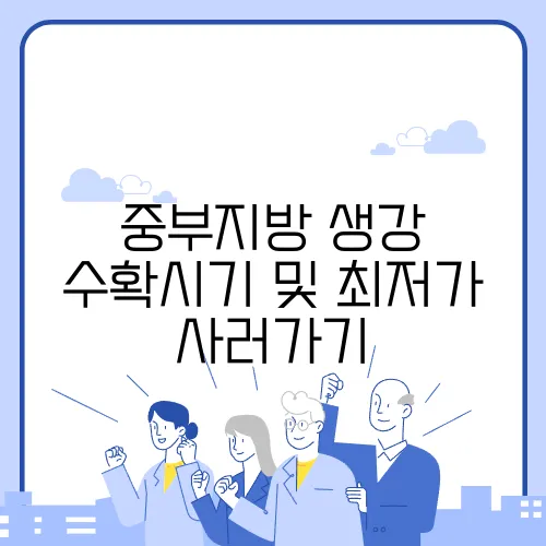 중부지방 생강 수확시기 및 최저가 사러가기