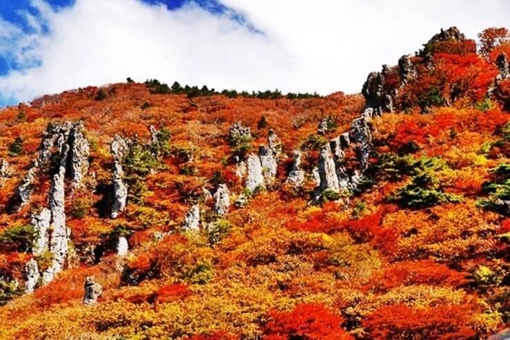 2025 제주 한라산 단풍 절정시기 및 단풍명소, 트레킹코스, 주차, 맛집 사진