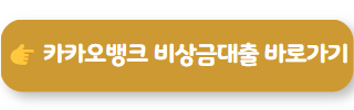 8등급 비상금대출카카오뱅크 비상금대출