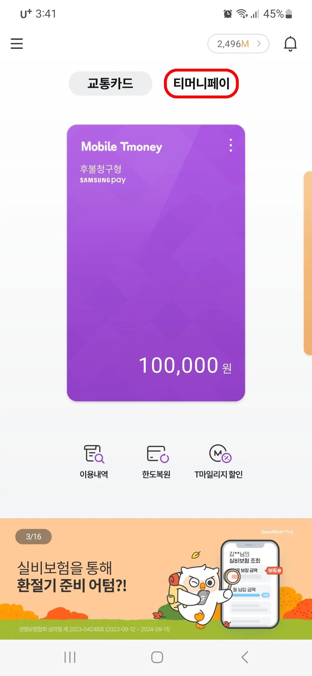 티머니페이